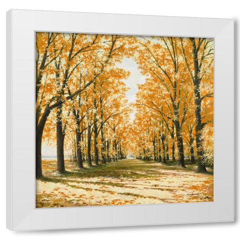 Falls Cathedral White Modern Wood Framed Art Print by Nawrocke, Bruce