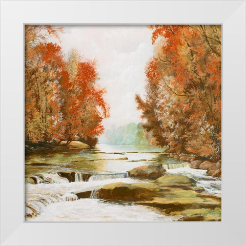 Autumn at Firemens Park White Modern Wood Framed Art Print by Nawrocke, Bruce