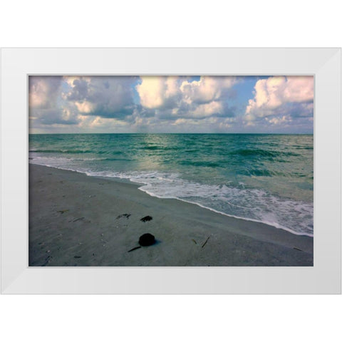 Emerald Sea White Modern Wood Framed Art Print by Peck, Gail