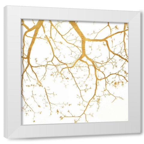 Branch Silhouette II White Modern Wood Framed Art Print by Peck, Gail