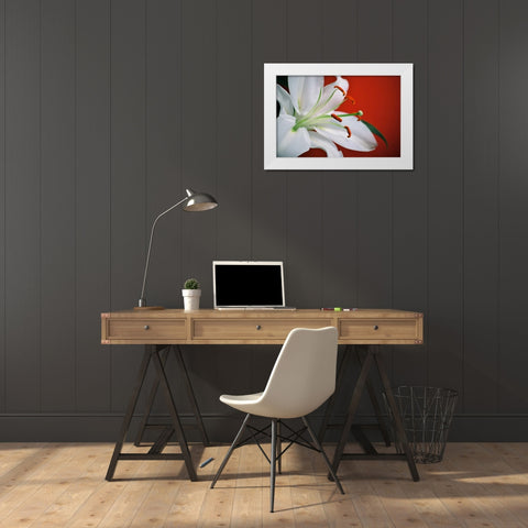White Lily White Modern Wood Framed Art Print by Peck, Gail