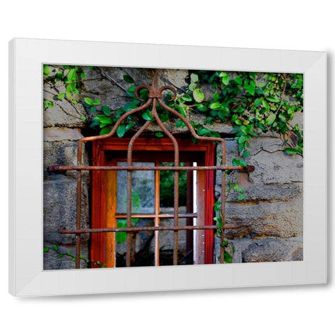 Behind Bars White Modern Wood Framed Art Print by Peck, Gail
