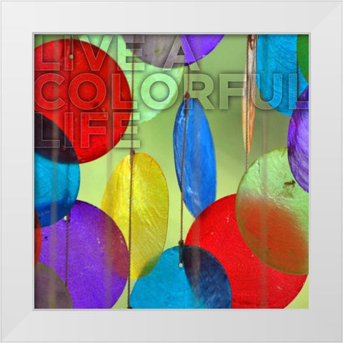 Colorful Life White Modern Wood Framed Art Print by Peck, Gail