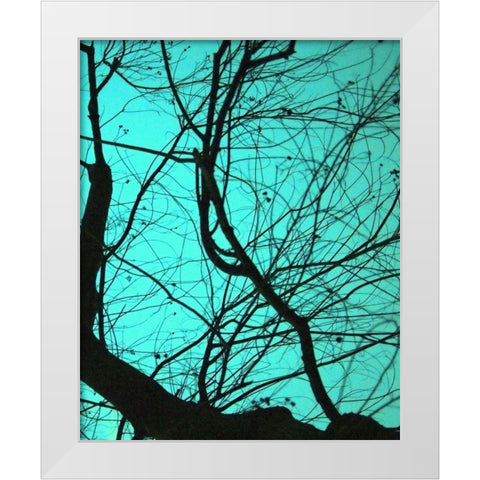 Branches on Teal II White Modern Wood Framed Art Print by Peck, Gail