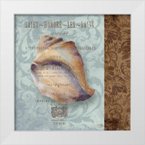 Shell II White Modern Wood Framed Art Print by Medley, Elizabeth