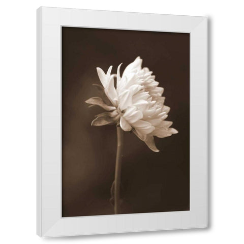 Sepia Flower I White Modern Wood Framed Art Print by Peck, Gail