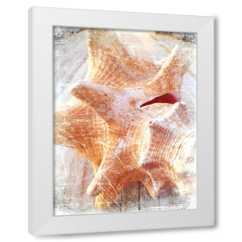 Conch I White Modern Wood Framed Art Print by Saghini, Lisa Hill
