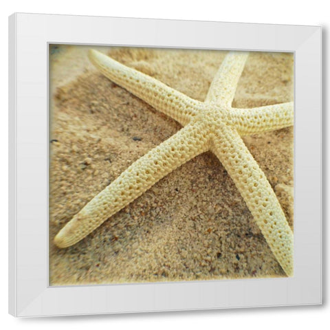 Starfish White Modern Wood Framed Art Print by Saghini, Lisa Hill