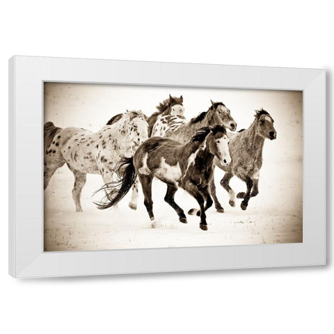 Painted Horses Run White Modern Wood Framed Art Print by Walker, Carol