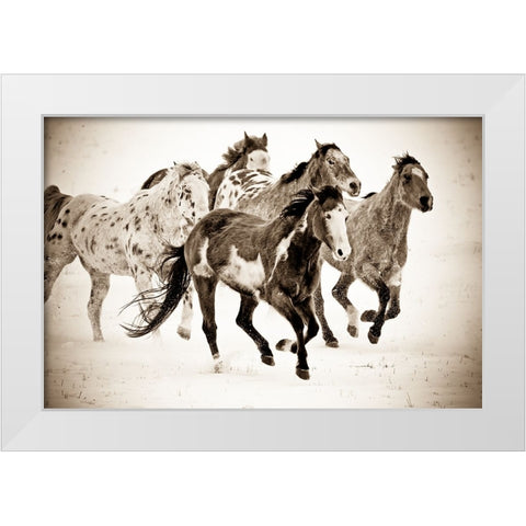 Painted Horses Run White Modern Wood Framed Art Print by Walker, Carol