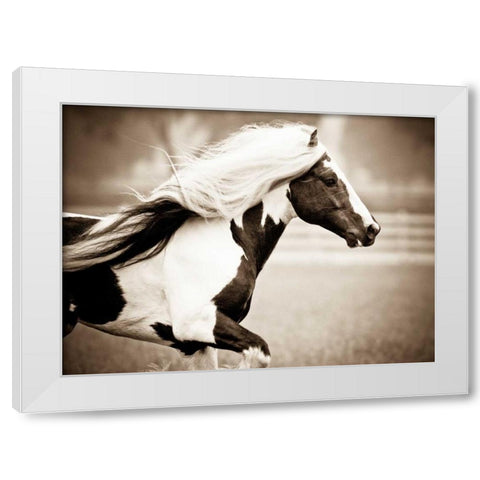 Gypsies Pride White Modern Wood Framed Art Print by Walker, Carol