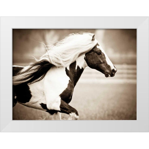 Gypsies Pride White Modern Wood Framed Art Print by Walker, Carol