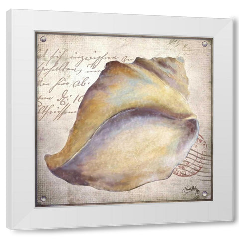 Beach Shell II White Modern Wood Framed Art Print by Medley, Elizabeth