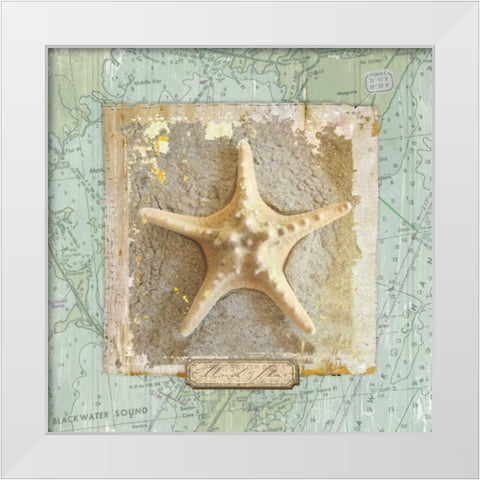 Seashore Collection III White Modern Wood Framed Art Print by Medley, Elizabeth