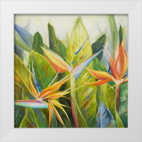 Bird of Paradise I White Modern Wood Framed Art Print by Pinto, Patricia