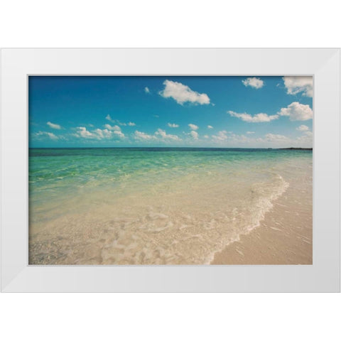 Bimini Day White Modern Wood Framed Art Print by Bryant, Susan