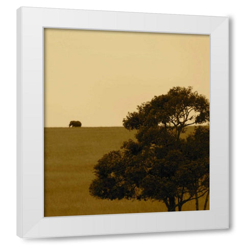 Elephant Pack III White Modern Wood Framed Art Print by Bryant, Susan