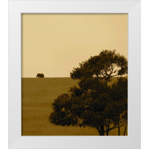 Elephant Pack III White Modern Wood Framed Art Print by Bryant, Susan