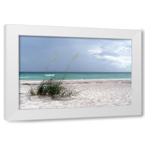 Shoreline White Modern Wood Framed Art Print by Peck, Gail