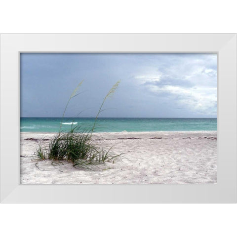 Shoreline White Modern Wood Framed Art Print by Peck, Gail