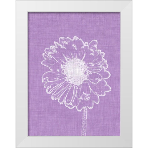 Purple Daisies II White Modern Wood Framed Art Print by Peck, Gail