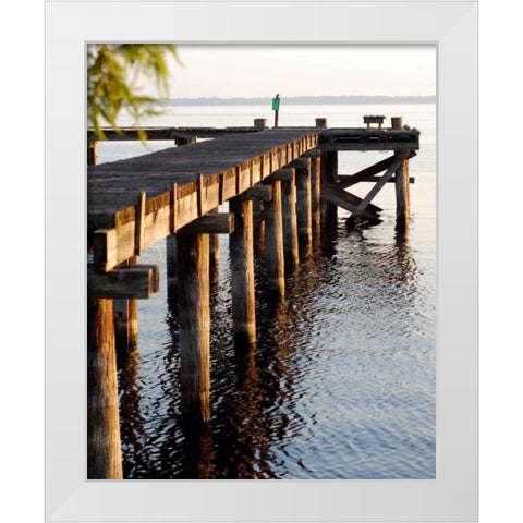 Waterside Beauty II White Modern Wood Framed Art Print by Peck, Gail