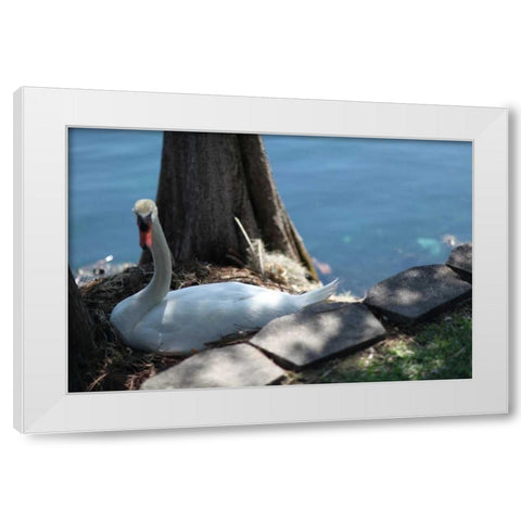 Blue Sky Beach I White Modern Wood Framed Art Print by Rodriguez, Jairo