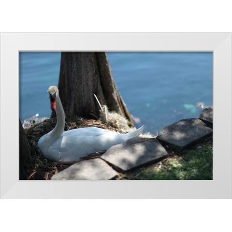Blue Sky Beach I White Modern Wood Framed Art Print by Rodriguez, Jairo