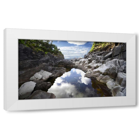 Reflecting Ravine White Modern Wood Framed Art Print by Nawrocke, Bruce