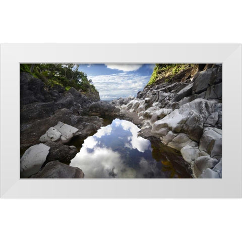 Reflecting Ravine White Modern Wood Framed Art Print by Nawrocke, Bruce