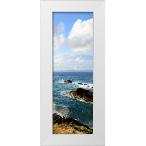 Overlooking the Bluffs II White Modern Wood Framed Art Print by Nawrocke, Bruce