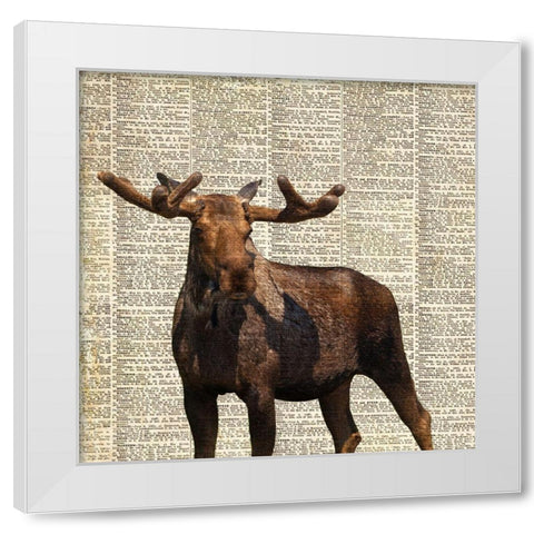 Country Moose I White Modern Wood Framed Art Print by Coppel, Anna