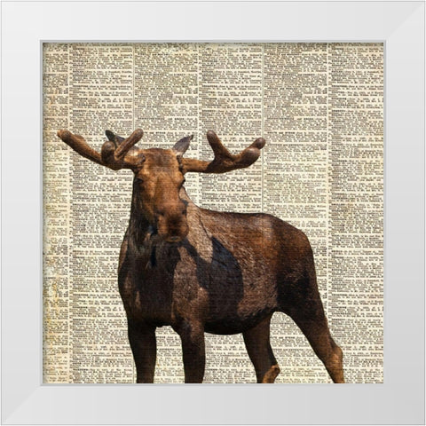 Country Moose I White Modern Wood Framed Art Print by Coppel, Anna
