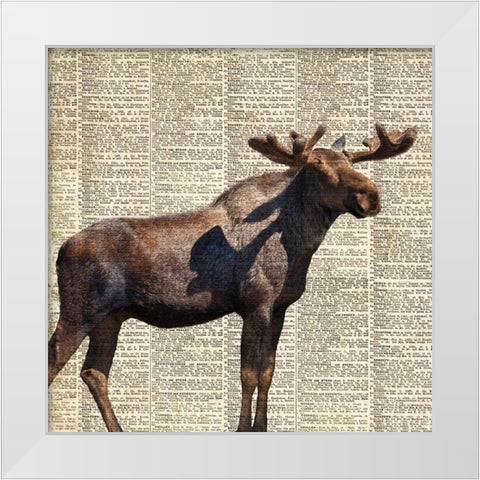 Country Moose II White Modern Wood Framed Art Print by Coppel, Anna
