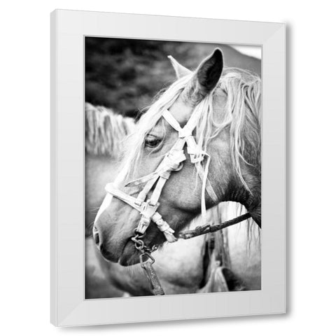 Before the Ride I White Modern Wood Framed Art Print by Coppel, Anna