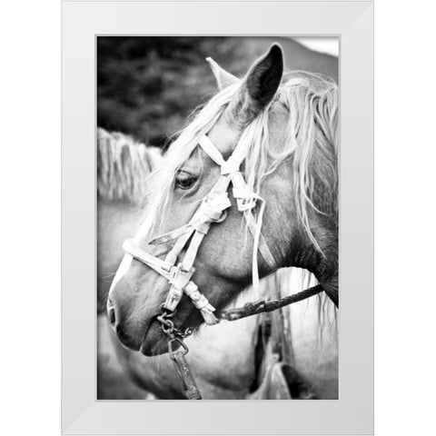 Before the Ride I White Modern Wood Framed Art Print by Coppel, Anna