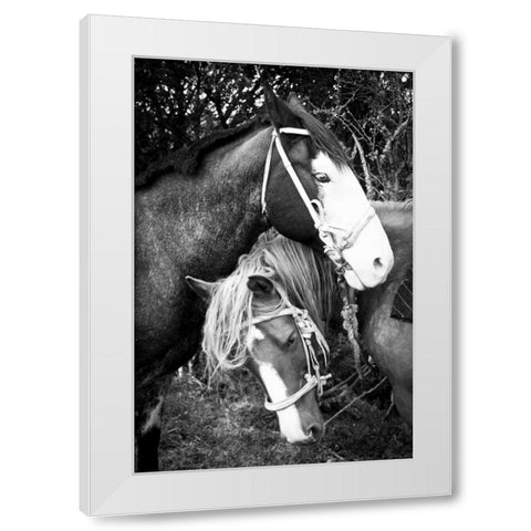 Before the Ride II White Modern Wood Framed Art Print by Coppel, Anna