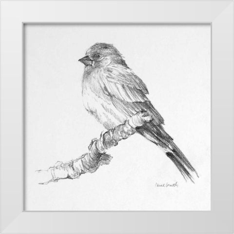 Bird Drawing I White Modern Wood Framed Art Print by Loreth, Lanie