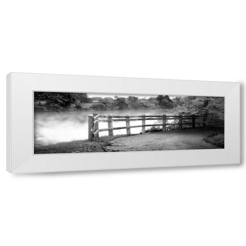 Lake Path White Modern Wood Framed Art Print by Poynter, Kelly