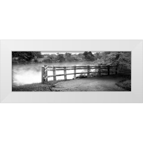 Lake Path White Modern Wood Framed Art Print by Poynter, Kelly