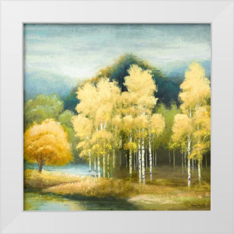 Birchwood White Modern Wood Framed Art Print by Marcon, Michael