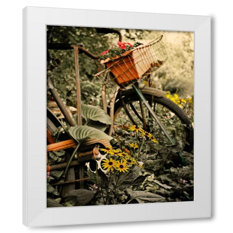 In the Fields I White Modern Wood Framed Art Print by Nawrocke, Bruce