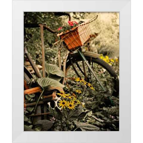 In the Fields I White Modern Wood Framed Art Print by Nawrocke, Bruce