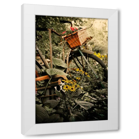 In the Fields I White Modern Wood Framed Art Print by Nawrocke, Bruce