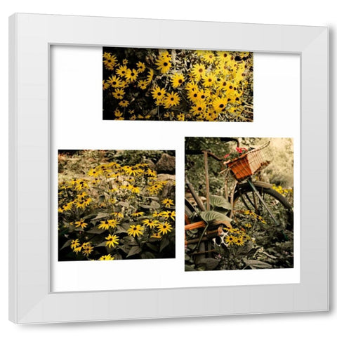 Gerber Daisy Garden Set White Modern Wood Framed Art Print by Nawrocke, Bruce