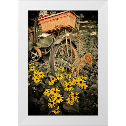 In the Fields II White Modern Wood Framed Art Print by Nawrocke, Bruce