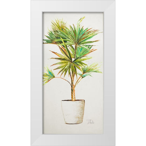 Essential Compliment on White V White Modern Wood Framed Art Print by Pinto, Patricia