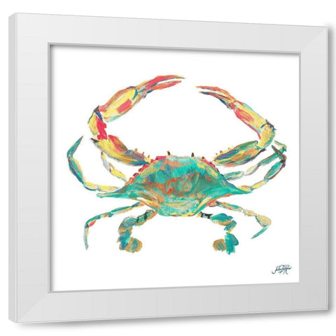 Caribbean Sealife II White Modern Wood Framed Art Print by DeRice, Julie