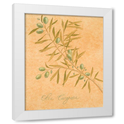 Olea Europaea White Modern Wood Framed Art Print by Baliko, Linda