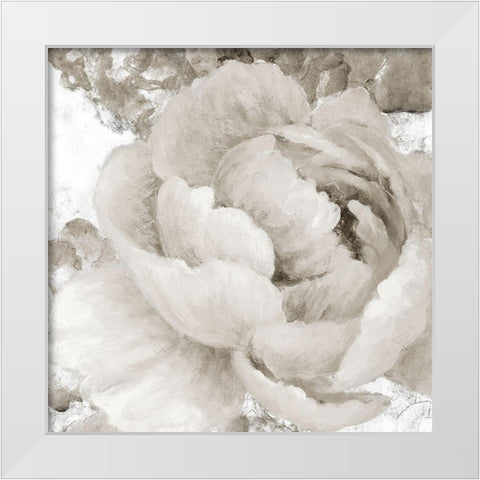 Light Grey Flowers II White Modern Wood Framed Art Print by Loreth, Lanie
